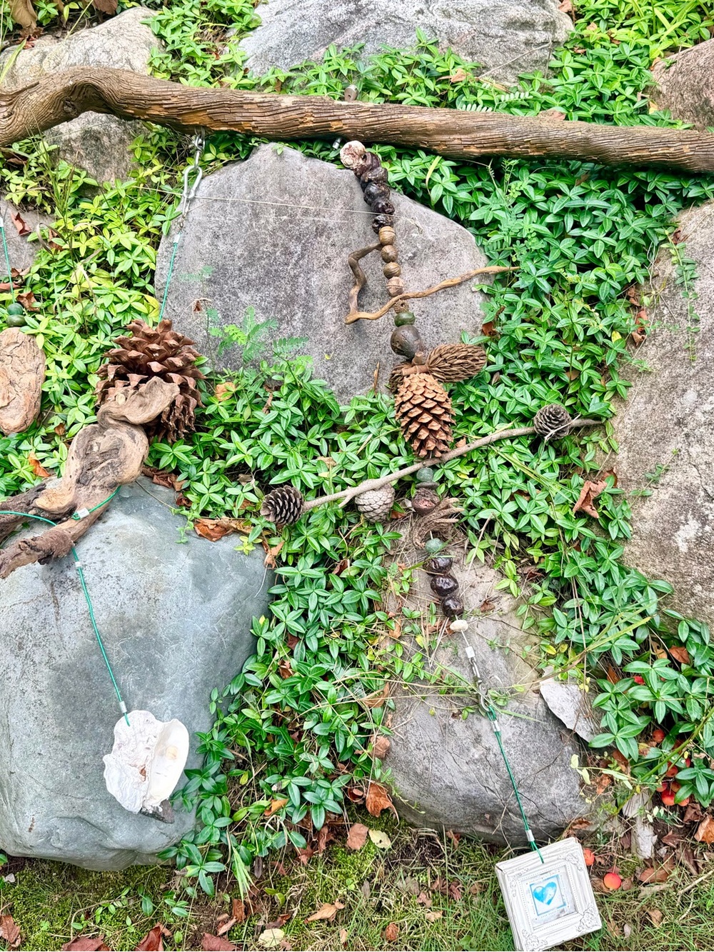 🌲NATURE INSPIRED DECOR - Picture 2 of 13